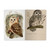 BV Notebook Owls
