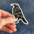 Corvidae Sticker Quoth the Raven