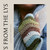 Knits from the LYS Cover Thumbnail