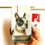 Firefly Notes Tin Large Boston Terrier