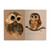BV Notebook Owlets