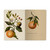 BV Notebook Oranges and Blossoms