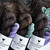 Hue Loco Backyard Chicken Set Phyllis Sock Yarn Sapphire Gem Hen