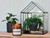 Wax and Wool Pure Soy Wax Candle Moss & Fern (Amber)