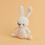 Rico Design Ricorumi Mini Crochet Kit (Bunny)