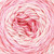 Rico Design Ricorumi Spin Spin DK Yarn 004 Pink