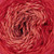 Rico Design Ricorumi Spin Spin DK Yarn 005 Red