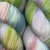 Polka Dot Sheep Tenderfoot 80/20 Yarn Bloom (LYSD 2026)