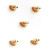 Incomparable Buttons Pink Birds