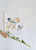 Bailey Rae Studio Watercolor Kit (Spring Bird)