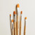 Bailey Rae Studio Watercolor Brush Set (Filbert - 6 Piece)