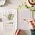 Emily Lex Studio Watercolor Workbook (Garden