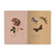 BV Notebook Butterflies and Night Flowers