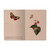BV Notebook Butterflies and Berries