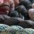 Malabrigo Torzal Yarn