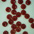 Matchy Matchy Sewing Club Amber 3/4" Corozo Nut Buttons (Set of 6)