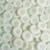 Matchy Matchy Sewing Club Milk 1" Corozo Nut Buttons (Set of 4)