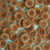 Matchy Matchy Sewing Club Caramel 1" Corozo Nut Buttons (Set of 4)