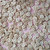 Matchy Matchy Sewing Club Smiley Face 1/2" Wood Buttons (Set of 12