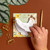1canoe2 Sticky Notes (Delaware Chicken)