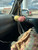 LemonWood Minder Clip (Brown & Rose Gold)