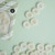 Matchy Matchy Sewing Club 1" Corozo Nut Buttons (Set of 4) Milk
