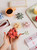 Cotton Clara Froebel Star Paper Craft Kit