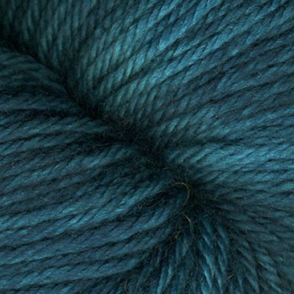 Dream in Color Classy Superwash Yarn - The Websters