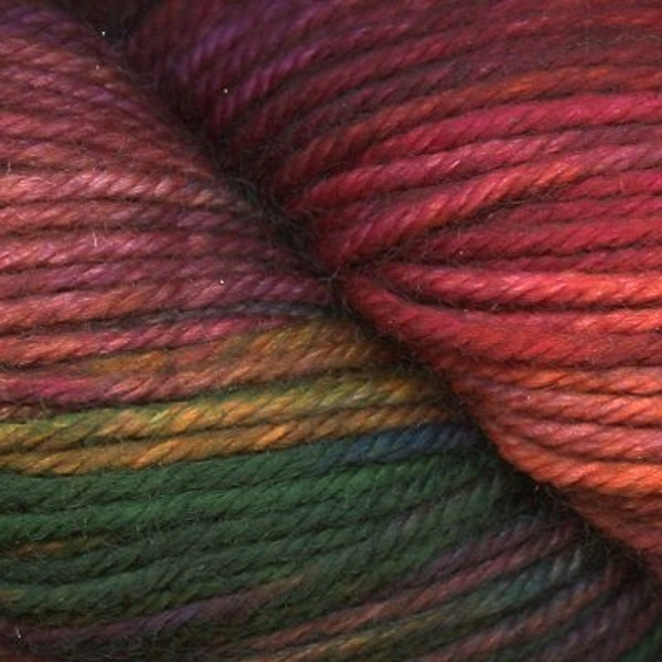 Dream in Color Classy Superwash Yarn - The Websters