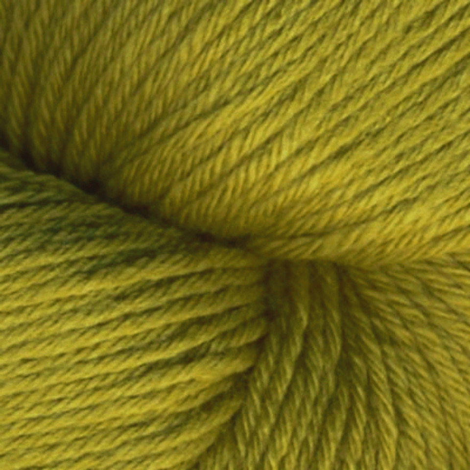 Rosy Green Wool Cheeky Merino Joy Yarn - The Websters