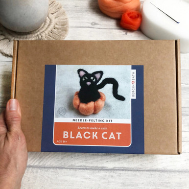 Imzay Needle Felting Kit For Beginners, With 7pcs Photo Instructions, Make  Pumpkin, Black Cat, Black Bat And Halloween Ghost - Felt Diy Package -  AliExpress