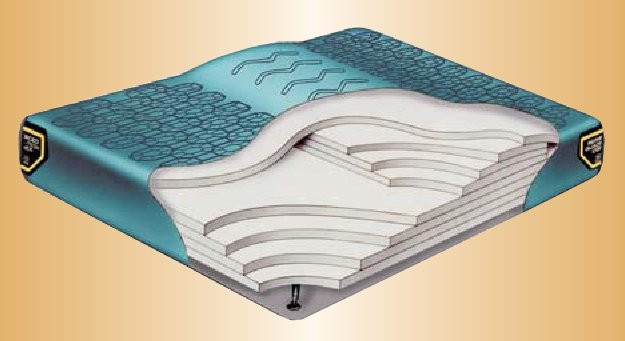 Hardside Waterbed Lumbar Support Water Bed