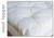 Suite Sleep Super Comfort 3 inch Carded Wool Topper|suite sleep, toppers, wool toppers