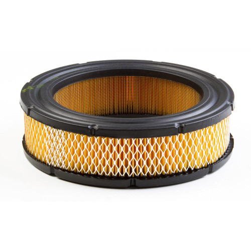 Briggs and Stratton 841856 Air Filter Cartridge OEM Replacement for Standby Generators