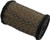Genuine Tecumseh 34700B Air Filter