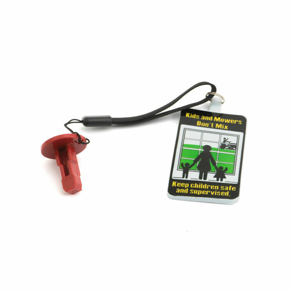MTD 725-06779B Lawn Tractor Ignition Key