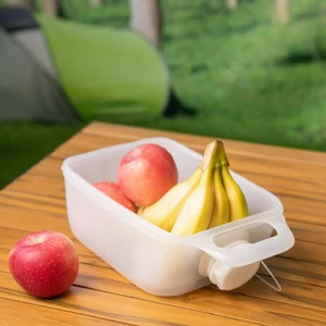 Foldable Water Carrier/Basin | 10L or 20L