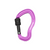 Purple Forge Biner