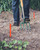 Orange plot stakes in ground.