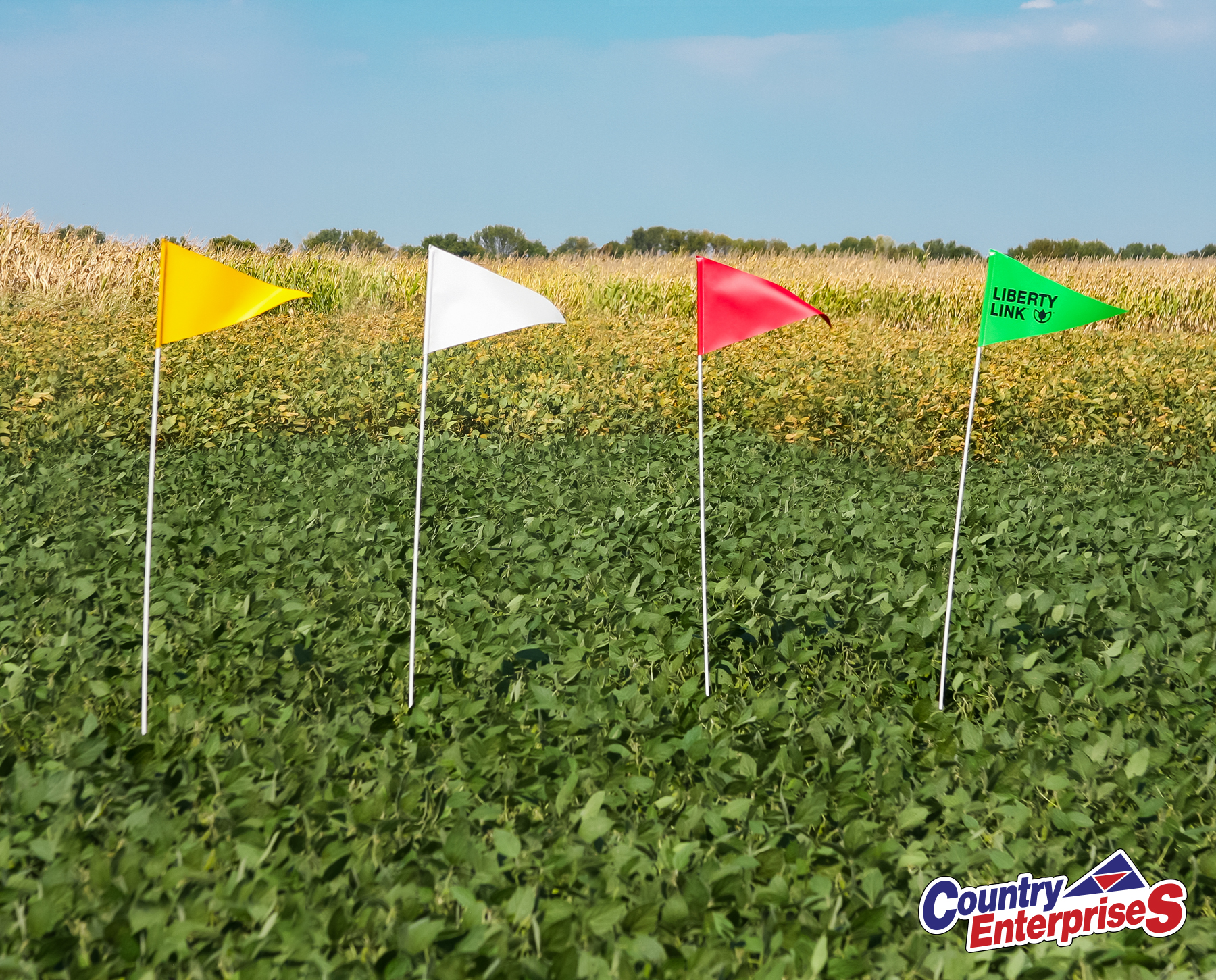 Tile & Field Marker | 5/16