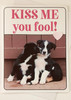 Kiss Me You Fool Valentines Day card
