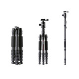 TRIOPO T259G+Q2 Adjustable Portable Carbon Fiber Tripod with Q-2 Ball Head for SLR Camera