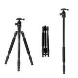 TRIOPO M2508 Multifunction Adjustable 4-Section Portable Aluminum Alloy Tripod Monopod with D-2A Ball Head for SLR Camera