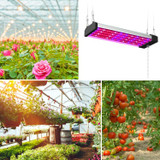 LED Growth Lamp Full Spectrum Plant Light Tube, Style: Small Double Row 30cm(EU Plug)