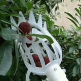 Plum Date Apricot Pick Fruit Plastic Tool(White)