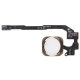 Home Button Flex Cable for iPhone 5S, Not Supporting Fingerprint Identification(Gold)