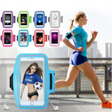 Sports Outdoor Arm Bag Fitness With Touch Screen Mobile Phone Arm Bag, Size: Large(Sky Blue)