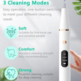 Ultrasonic Electric Dental Scaler Teeth Plaque Cleaner Dental Stone Removal With LED Light, Spec: Package A with Accessories