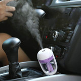 Car Negative Ion Spray Humidifier Aromatherapy Air Purifier(Pink)