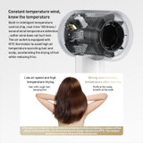 Original Xiaomi Mijia H501 SE High Speed Anion Electric Hair Dryer, US Plug(White)